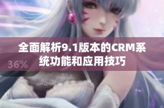 全面解析9.1版本的CRM系统功能和应用技巧