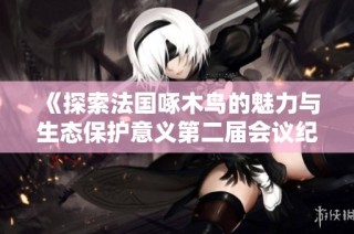 《探索法国啄木鸟的魅力与生态保护意义第二届会议纪要》