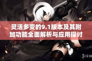 灵活多变的9.1版本及其附加功能全面解析与应用探讨