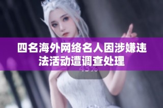 四名海外网络名人因涉嫌违法活动遭调查处理