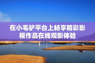 在小毛驴平台上畅享精彩影视作品在线观影体验