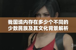 我国境内存在多少个不同的少数民族及其文化背景解析