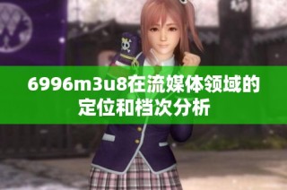 6996m3u8在流媒体领域的定位和档次分析