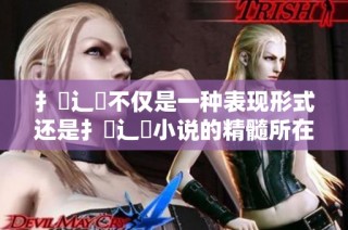 扌喿辶畐不仅是一种表现形式还是扌喿辶畐小说的精髓所在