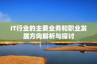 IT行业的主要业务和职业发展方向解析与探讨