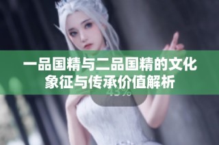 一品国精与二品国精的文化象征与传承价值解析