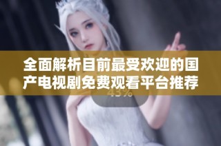 全面解析目前最受欢迎的国产电视剧免费观看平台推荐