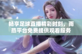 畅享足球直播精彩时刻，雨燕平台免费提供观看服务
