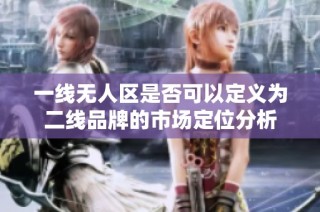 一线无人区是否可以定义为二线品牌的市场定位分析