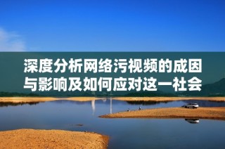 深度分析网络污视频的成因与影响及如何应对这一社会现象