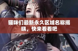 猫咪们最新永久区域名称揭晓，快来看看吧