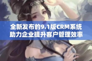 全新发布的9.1版CRM系统助力企业提升客户管理效率