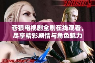 苍狼电视剧全剧在线观看，尽享精彩剧情与角色魅力