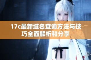 17c最新域名查询方法与技巧全面解析和分享