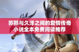 苏熙与久泽之间的爱情传奇小说全本免费阅读推荐