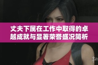 丈夫下属在工作中取得的卓越成就与显著荣誉盛况简析
