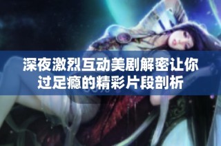 深夜激烈互动美剧解密让你过足瘾的精彩片段剖析