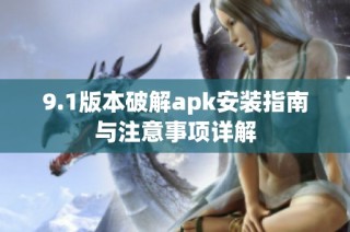 9.1版本破解apk安装指南与注意事项详解