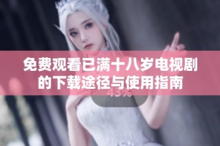 免费观看已满十八岁电视剧的下载途径与使用指南