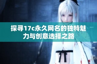 探寻17c永久网名的独特魅力与创意选择之路