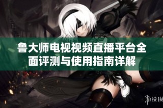 鲁大师电视视频直播平台全面评测与使用指南详解