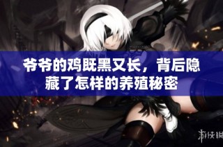 爷爷的鸡既黑又长，背后隐藏了怎样的养殖秘密