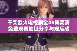 干柴烈火电视剧全46集高清免费观看地址分享与观后感