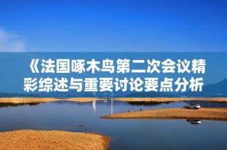 《法国啄木鸟第二次会议精彩综述与重要讨论要点分析》