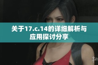 关于17.c.14的详细解析与应用探讨分享