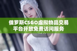 俄罗斯CSGO虚拟物品交易平台开放免费访问服务