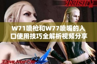 W71喷枪和W77喷嘴的入口使用技巧全解析视频分享