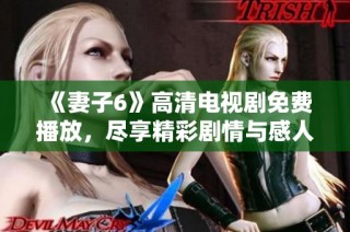 《妻子6》高清电视剧免费播放，尽享精彩剧情与感人故事