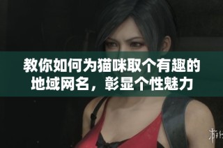 教你如何为猫咪取个有趣的地域网名，彰显个性魅力