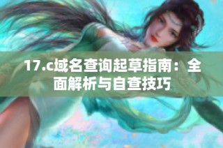 17.c域名查询起草指南：全面解析与自查技巧