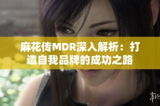 麻花传MDR深入解析：打造自我品牌的成功之路