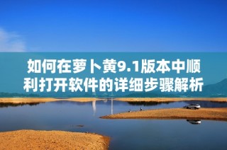 如何在萝卜黄9.1版本中顺利打开软件的详细步骤解析