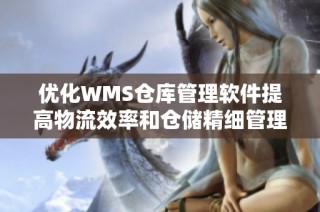 优化WMS仓库管理软件提高物流效率和仓储精细管理