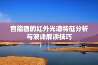 官能团的红外光谱特征分析与波峰解读技巧