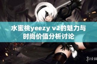 水蜜桃yeezy v2的魅力与时尚价值分析讨论