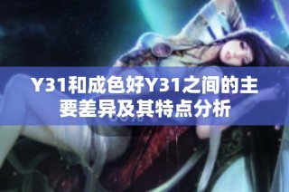 Y31和成色好Y31之间的主要差异及其特点分析