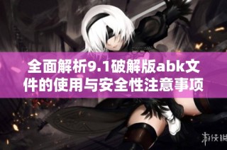 全面解析9.1破解版abk文件的使用与安全性注意事项