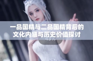 一品国精与二品国精背后的文化内涵与历史价值探讨