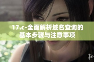 17.c-全面解析域名查询的基本步骤与注意事项