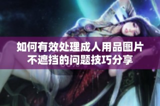 如何有效处理成人用品图片不遮挡的问题技巧分享