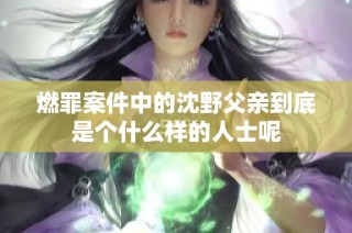 燃罪案件中的沈野父亲到底是个什么样的人士呢
