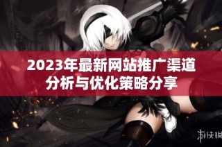 2023年最新网站推广渠道分析与优化策略分享