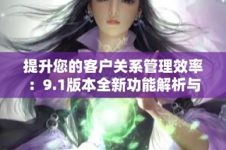 提升您的客户关系管理效率：9.1版本全新功能解析与应用指南