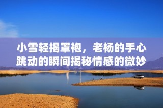 小雪轻揭罩袍，老杨的手心跳动的瞬间揭秘情感的微妙交织