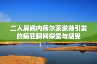 二人房间内荷尔蒙激荡引发的疯狂瞬间探索与感受