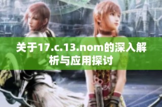 关于17.c.13.nom的深入解析与应用探讨